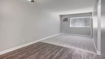 A spacious room with gray walls and wood flooring transitioning to a carpeted section, lit by a ceiling fan.