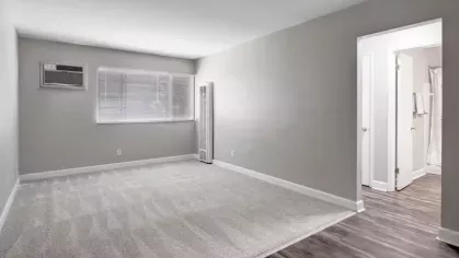 A bright space with large windows, light carpeting, and a connected bathroom, accented by wood flooring.