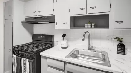 A compact yet elegant kitchen with a stainless steel sink, white tile backsplash, and minimalistic decor.