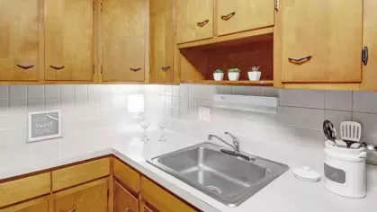 A close-up of a kitchen sink area with wooden cabinets, white countertops, and small potted plants.
