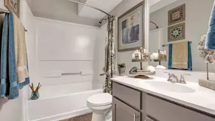 Modern bathroom featuring a white bathtub, sleek gray vanity with storage, and decorative accents for a clean, stylish look.