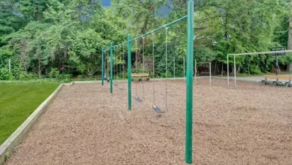 Image of the Playground: A green playground with swings and wood chips surrounded by lush greenery, perfect for outdoor fun.