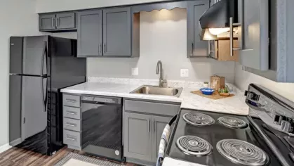 A modern kitchen with dark gray cabinets, marble countertops, and black appliances, including a refrigerator, stove, and dishwasher.