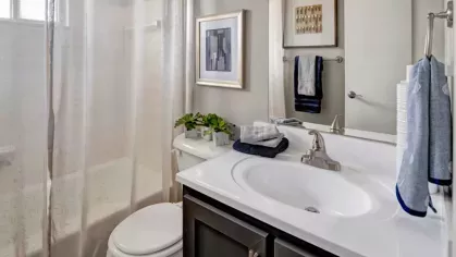 A sleek bathroom with a white vanity, a modern sink, and elegant decor, including a shower curtain and framed artwork.