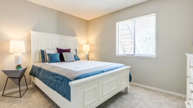 A bright bedroom with a white bed frame, plush carpeting, and a minimalist decor style.