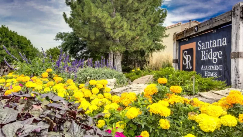 Vibrant flower beds with a sign for Santana Ridge Apartment Homes in the background.