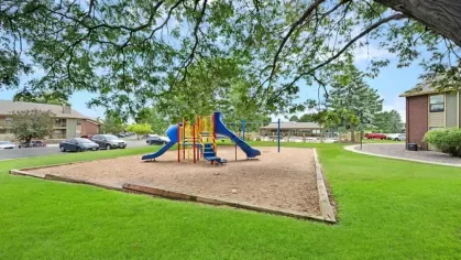 A vibrant playground set featuring slides and swings nestled under a large tree in a grassy area.