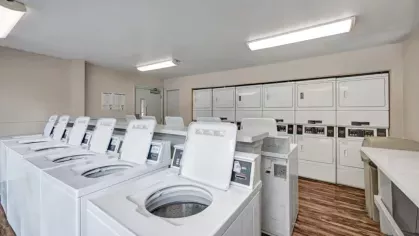 A well-lit communal laundry room with rows of washing machines and dryers.