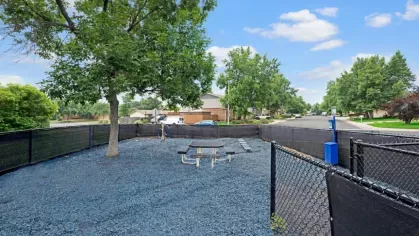 A shaded dog park area with gravel ground covering, benches, and agility equipment under a tree.