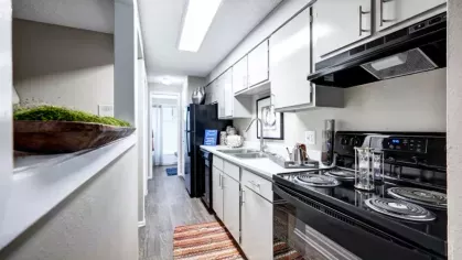A sleek, modern galley kitchen with white cabinetry, a black electric stove, stainless steel sink, and a colorful rug on a wood-style floor.