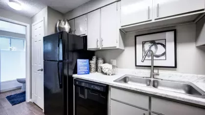A modern kitchen with sleek cabinetry, a black stovetop, and a colorful striped rug along a wooden floor.
