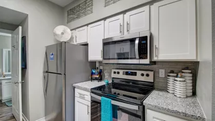 A close-up of a modern kitchen with stainless steel appliances, a microwave, and decorative countertops.