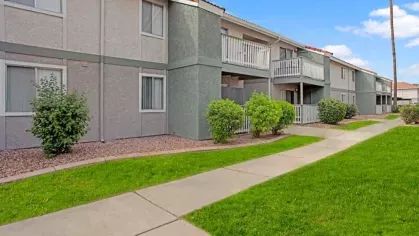 A serene walking path lined with palm trees and greenery, creating a peaceful outdoor space for residents to enjoy at 505 West apartments.