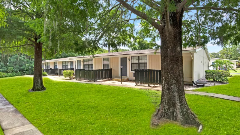 A picturesque sidewalk surrounded by tall trees leading to single-story apartment homes.
