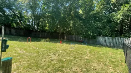 A playful dog enjoying the dedicated pet park at North River Place Apartments, featuring agility equipment, a red fire hydrant, and shaded seating areas