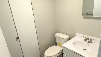 Renovated bathroom featuring a modern white vanity, wood-style flooring, and a compact layout with a closet door.