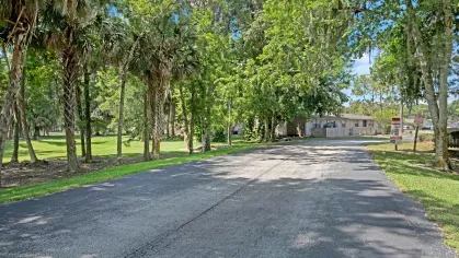 A scenic road lined with palm trees and oak trees leading to a residential area.