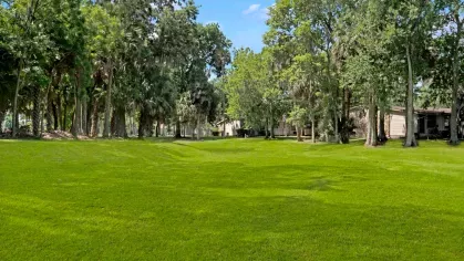 A tranquil open lawn area with trees providing shade and a serene natural environment.