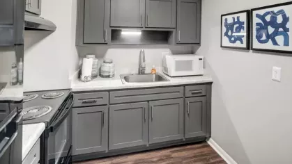 Modern kitchen with gray cabinets, a stainless steel sink, and hardwood floors.