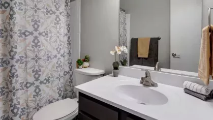 Elegant bathroom with a patterned shower curtain, white countertop, and decorative accents.