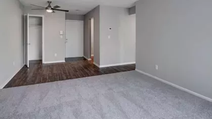 Open-plan living room with a mix of wood and carpet flooring, neutral walls, and a ceiling fan.