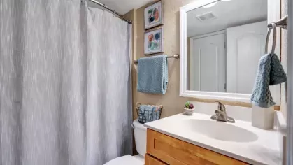 A clean bathroom with a white vanity, a mirror, and a shower curtain in light tones.