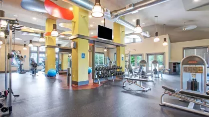 Open gym space with strength training equipment and floor-to-ceiling windows overlooking greenery.