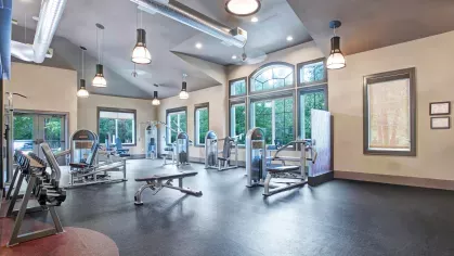 Open gym space with strength training equipment and floor-to-ceiling windows overlooking greenery.