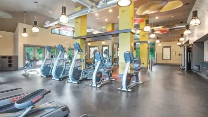 Open gym space with strength training equipment and floor-to-ceiling windows overlooking greenery.