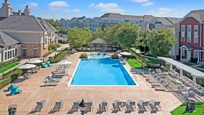 Aerial view of the expansive resort-style pool surrounded by lounge chairs, umbrellas, and lush landscaping at The Grove Somerset Apartments.