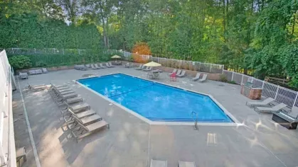 A spacious outdoor swimming pool area with lounge chairs and umbrellas surrounded by greenery.
