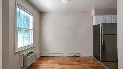 Open dining area adjacent to the kitchen, featuring wood-style flooring and a bright, minimalist design.