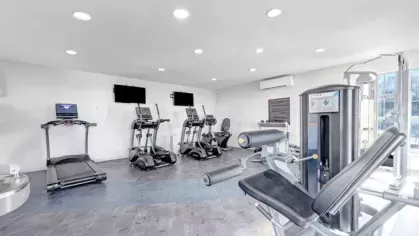 A well-equipped fitness center at The Maxwell Apartments featuring modern cardio machines, strength training equipment, and natural lighting from large windows.