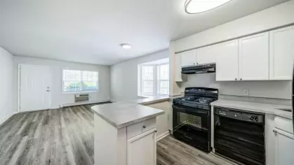 A bright, open kitchen with black appliances and a view into the living area.