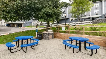 A small outdoor picnic area with blue tables and a barbecue grill surrounded by greenery.