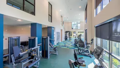 Image 3: State-of-the-art fitness center featuring cardio and strength equipment, with ample natural light at Tropia Wellen Park Apartments.