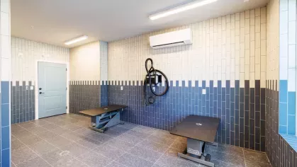 Image 4: Spacious pet grooming station with professional-grade wash basins and dryers, designed for resident convenience at Tropia Wellen Park Apartments.