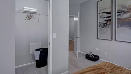 A bedroom with a spacious walk-in closet, modern wall art, and soft carpeting, creating a relaxing atmosphere.