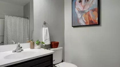 A modern bathroom with a white vanity, framed artwork of an owl, and a shower curtain with a subtle pattern.
