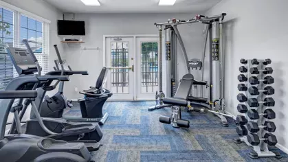 A fully equipped fitness center with modern cardio machines, weight training equipment, and ample natural light.
