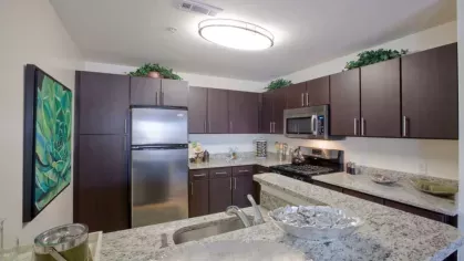 Modern kitchen with dark wood cabinetry, stainless steel appliances, granite countertops, and a stylish breakfast bar.