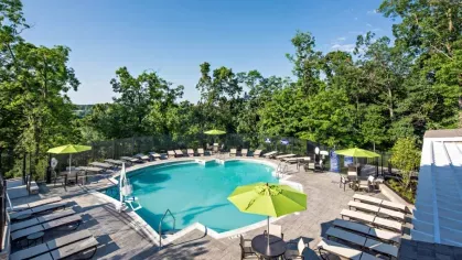 Elevated view of the community pool surrounded by lush greenery, with ample sun loungers and umbrellas for a relaxing outdoor experience.