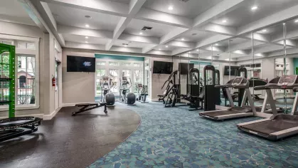 A spacious fitness center featuring treadmills, weight machines, and free weights with a modern blue and gray design.