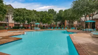 A large swimming pool surrounded by lush trees, comfortable lounge chairs, and shaded seating areas.