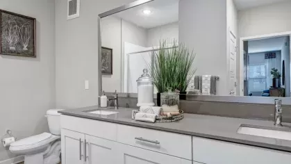 A spacious bathroom with a double vanity, decorative plants, and a wide mirror reflecting a bright, inviting space.