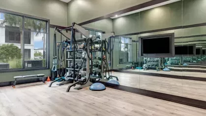 A dedicated functional training space with a mirrored wall, a mounted TV, and an organized workout station.