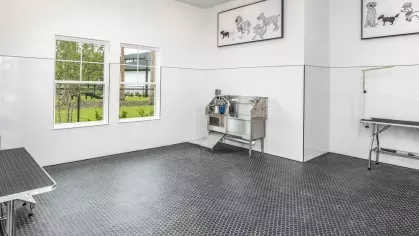 A well-lit pet spa with a stainless steel washing station, grooming tables, and playful dog illustrations.