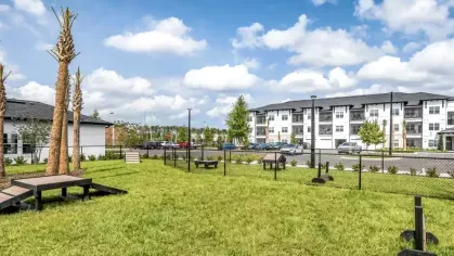 A fenced dog park with agility equipment and shaded seating areas.