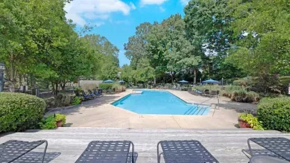 A rectangular pool with lounge chairs and umbrellas nestled among tall trees.