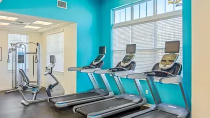 A row of treadmills with individual screens, placed near large windows that let in natural light.